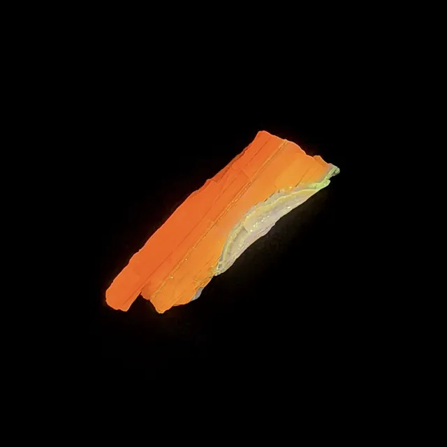 Hokkaidoite slice 2C14 under UV light (3/9) — 5.4 × 1.8 × 0.6 cm, Hokkaido, Japan · Kitsune Mineral