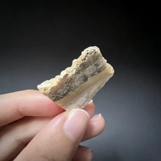 Hokkaidoite slice CS01 in daylight (9/9) — 3.3 × 2.8 × 0.4 cm, Hokkaido, Japan · Kitsune Mineral